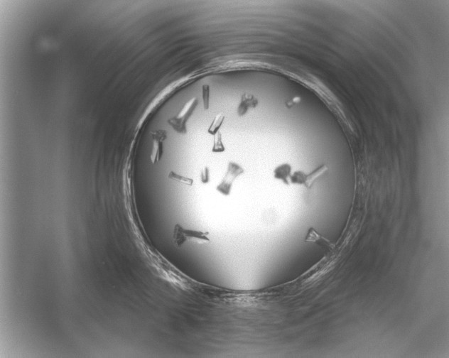 X0000055990814200509162250