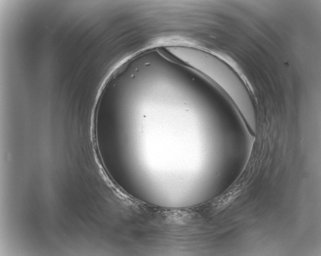 X0000055990815200509162250