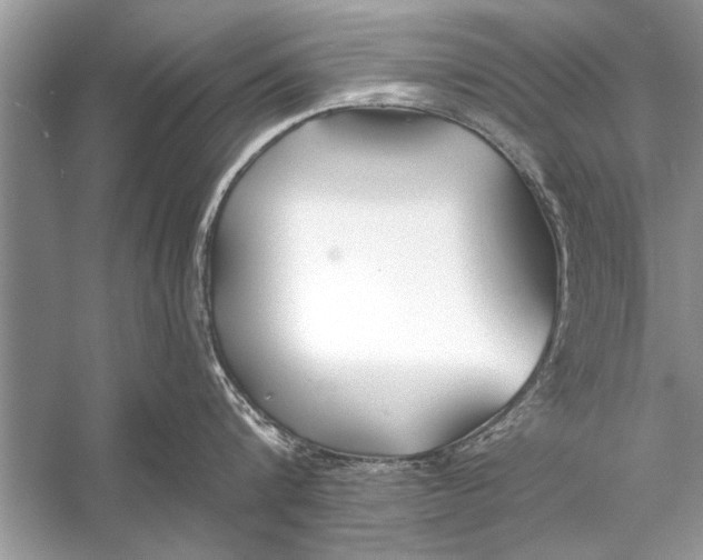 X0000055990816200509162250