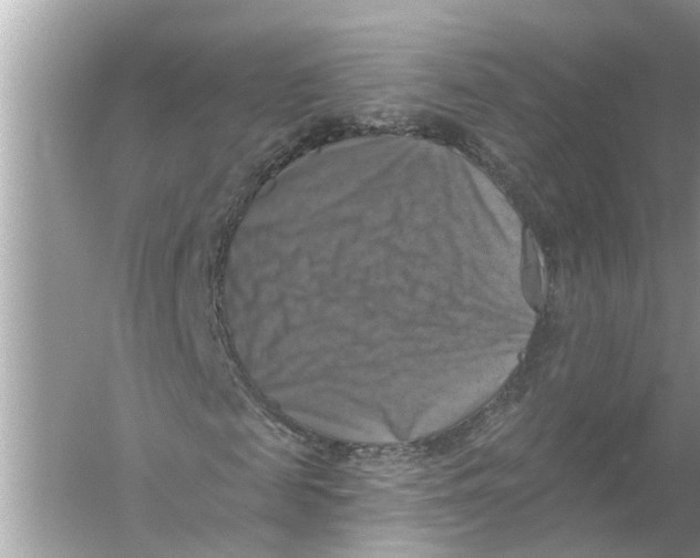 X0000055990817200509162249