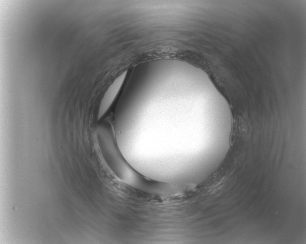 X0000055990818200509162249