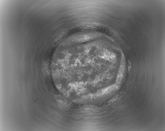 X0000055990819200509162249