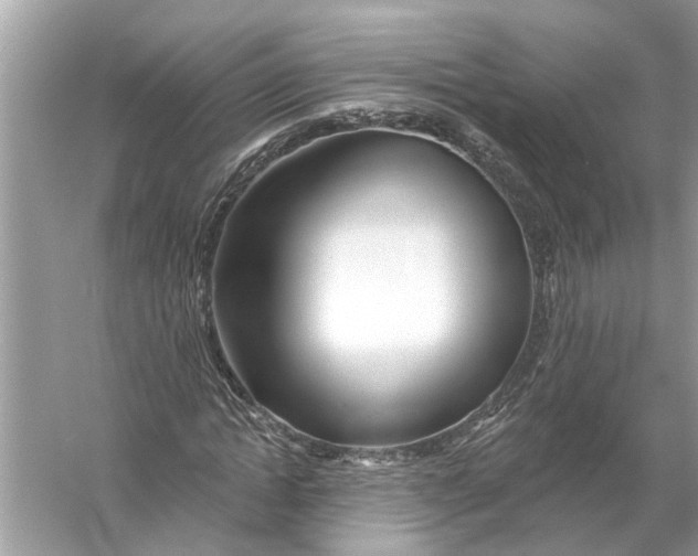 X0000055990822200509162249