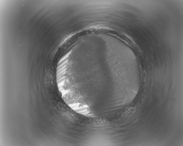 X0000055990823200509162249