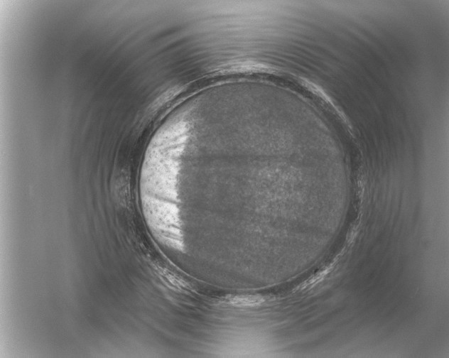 X0000055990825200509162249