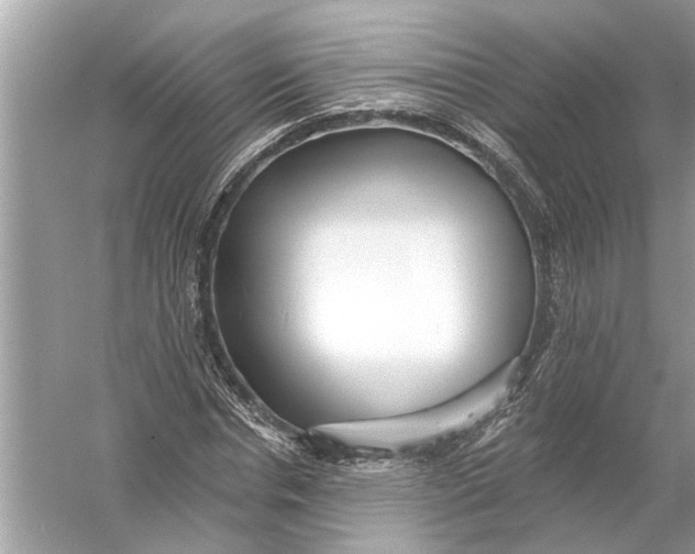 X0000055990826200509162249