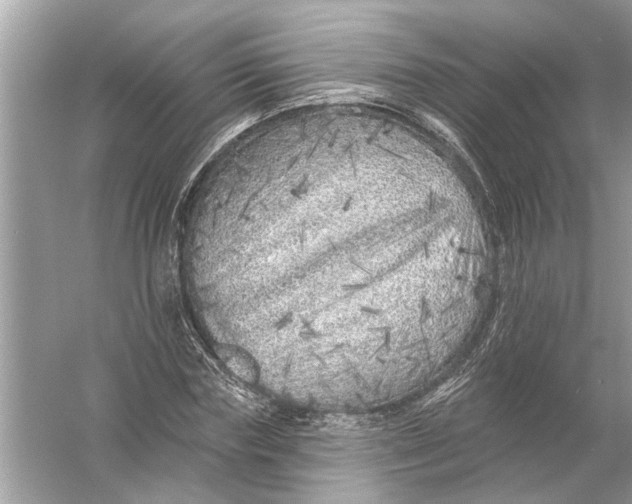 X0000055990827200509162249