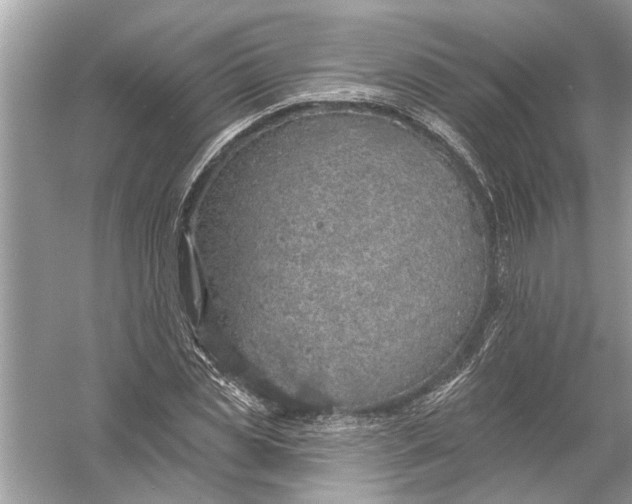 X0000055990829200509162249