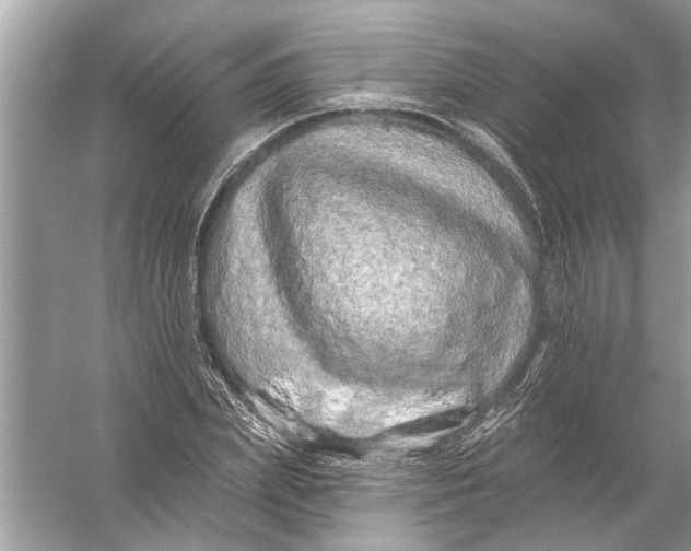 X0000055990831200509162249