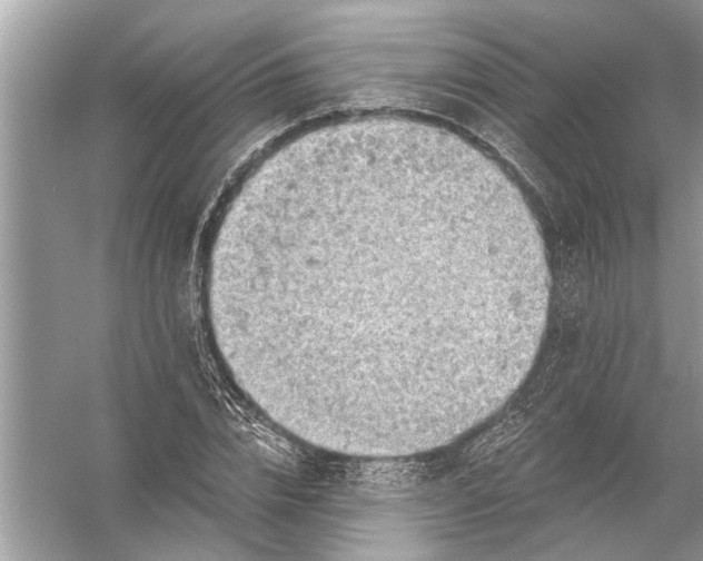 X0000055990832200509162249