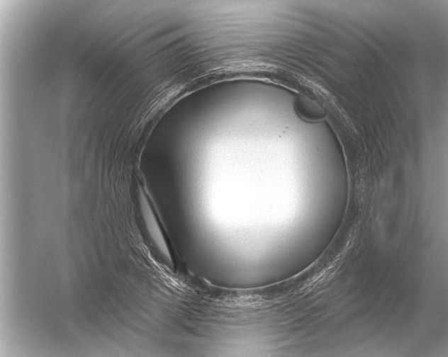 X0000055990833200509162249