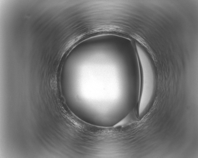 X0000055990834200509162249