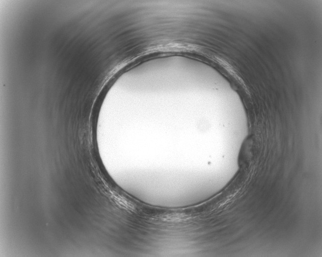 X0000055990837200509162249