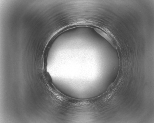 X0000055990838200509162249