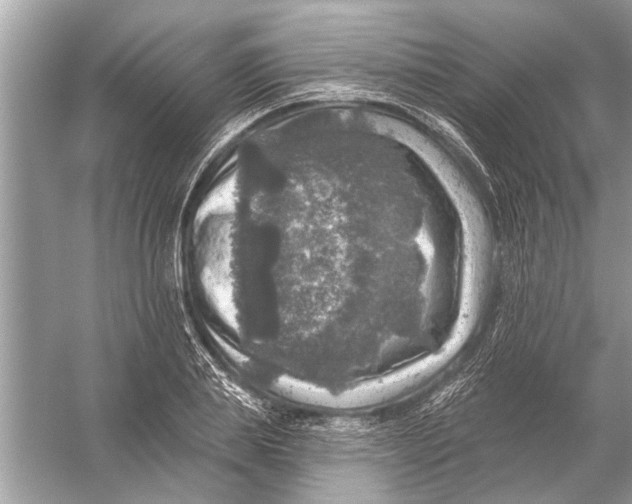 X0000055990839200509162249