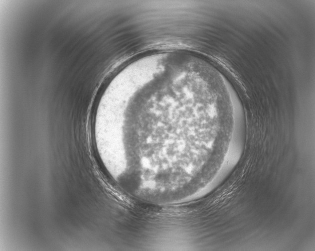 X0000055990840200509162249