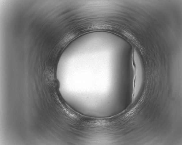 X0000055990841200509162249