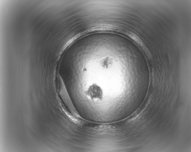 X0000055990842200509162249