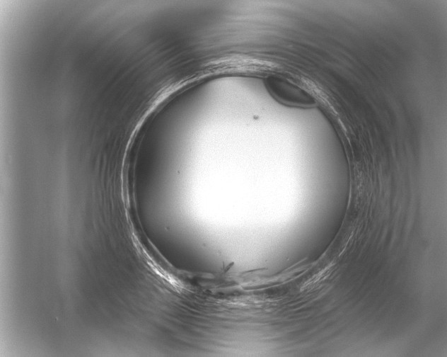 X0000055990843200509162249