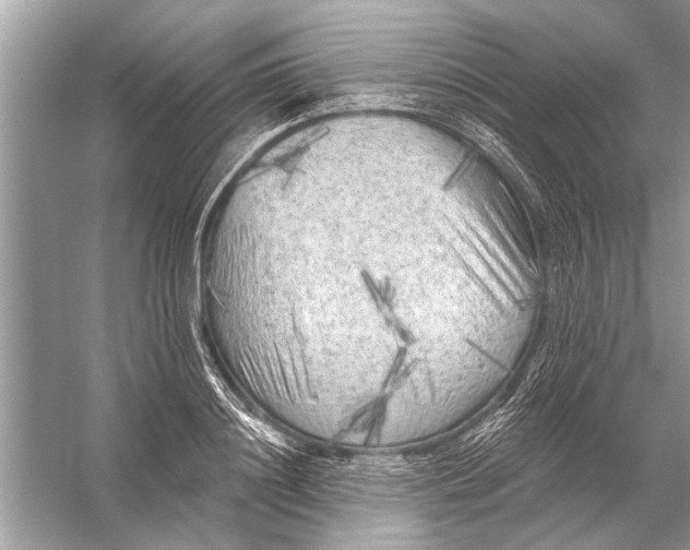 X0000055990844200509162249