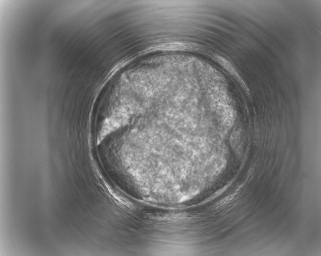 X0000055990845200509162249