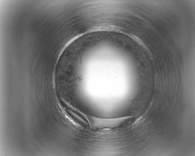 X0000055990846200509162249