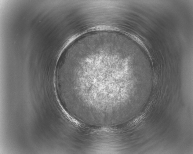 X0000055990847200509162249