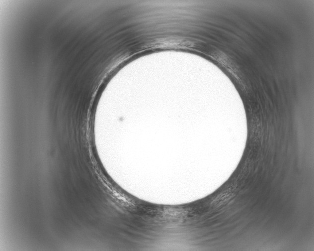 X0000055990848200509162249