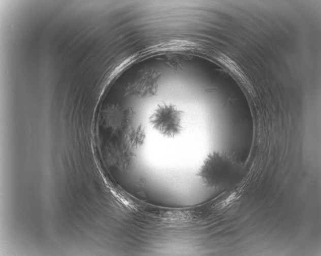 X0000055990850200509162249