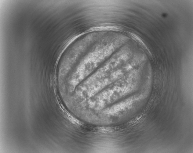 X0000055990852200509162249