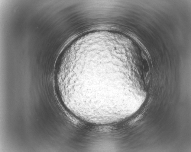 X0000055990853200509162249