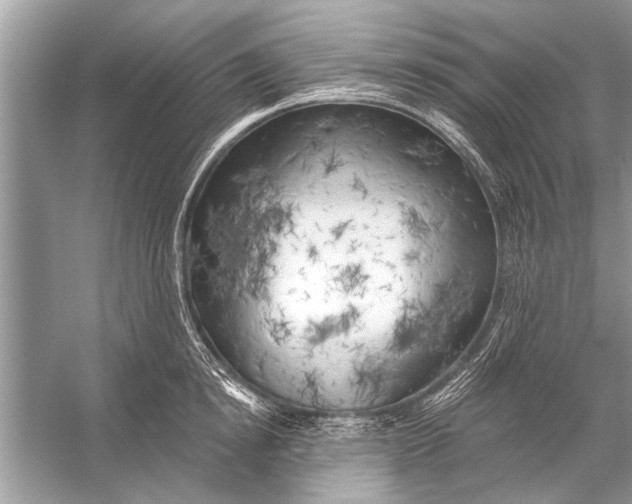 X0000055990854200509162250