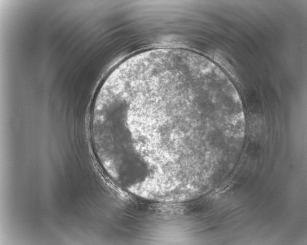 X0000055990856200509162250