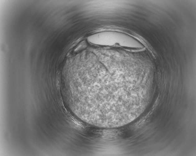 X0000055990857200509162250