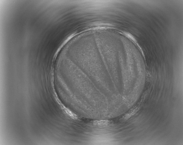 X0000055990859200509162250