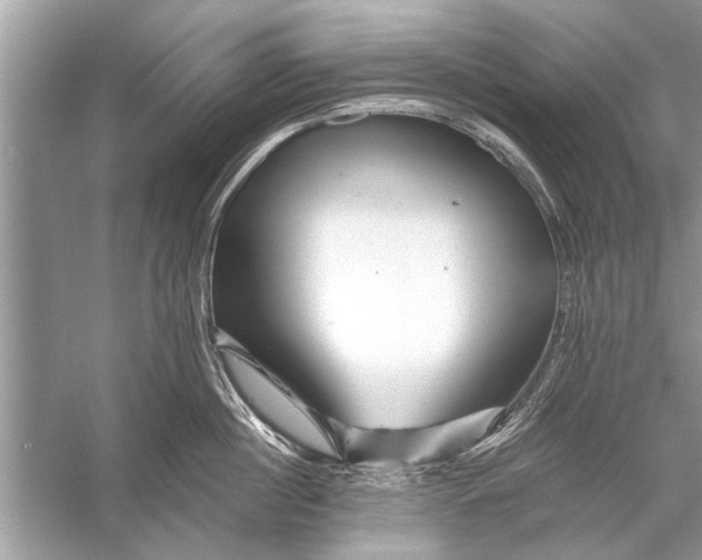 X0000055990860200509162250