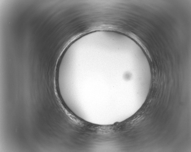 X0000055990861200509162250