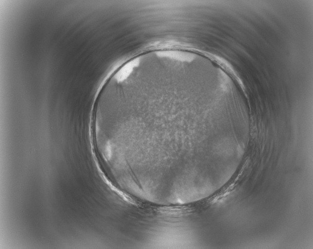 X0000055990863200509162250