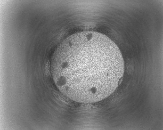 X0000055990866200509162249