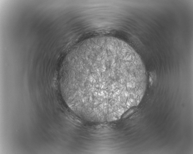 X0000055990867200509162249