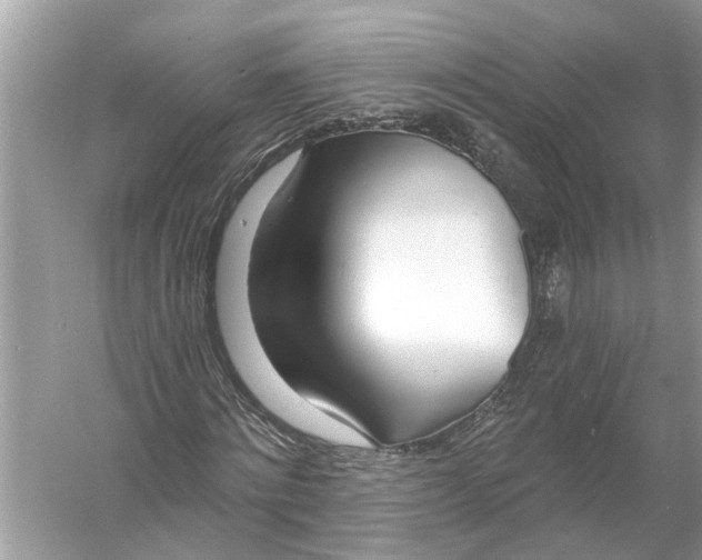 X0000055990868200509162249