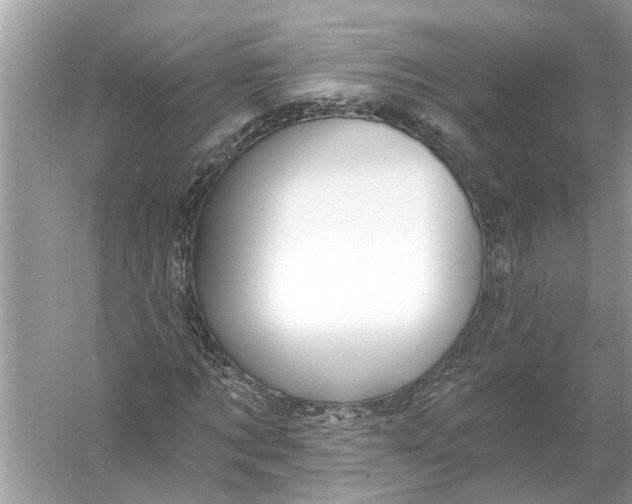 X0000055990869200509162249