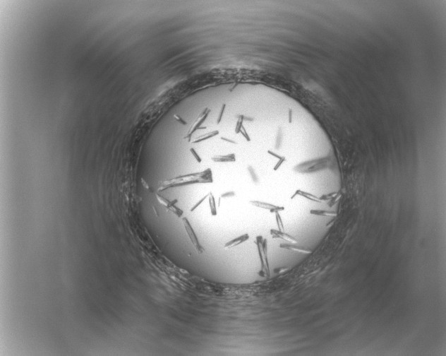 X0000055990870200509162249