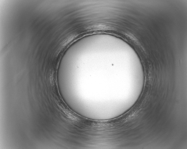 X0000055990873200509162249