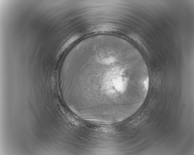 X0000055990874200509162249