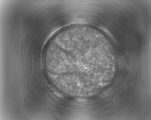 X0000055990878200509162249