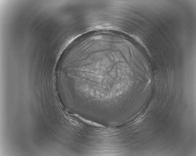 X0000055990879200509162249