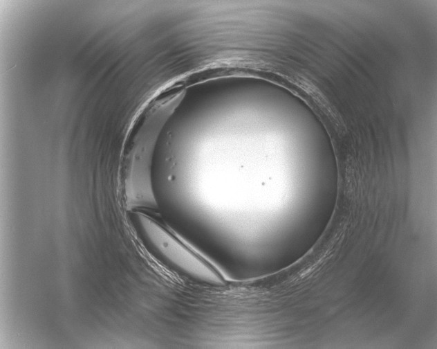 X0000055990880200509162249