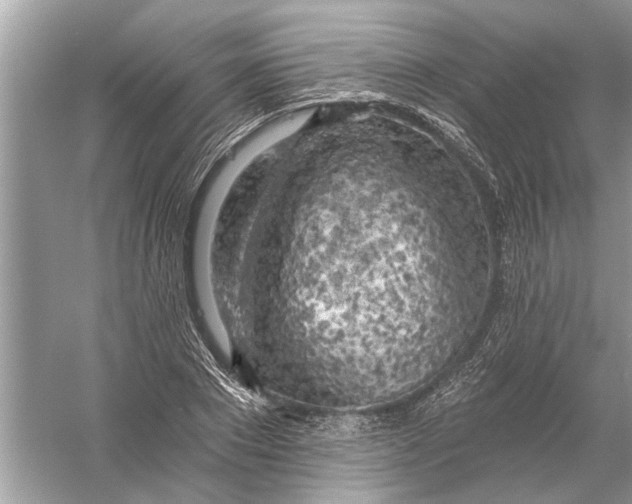 X0000055990881200509162249