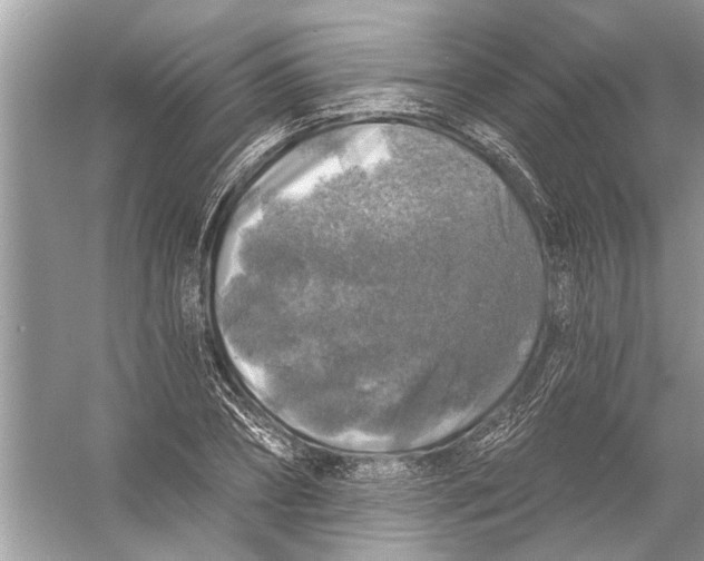 X0000055990882200509162249